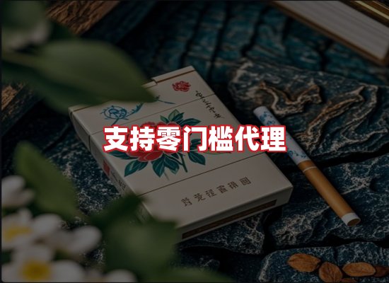 专业团队